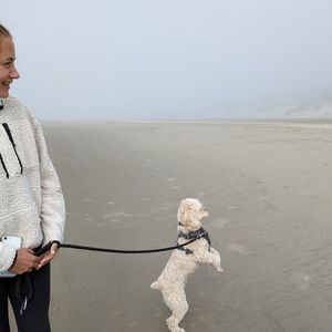 Meet your Posher, Audrey